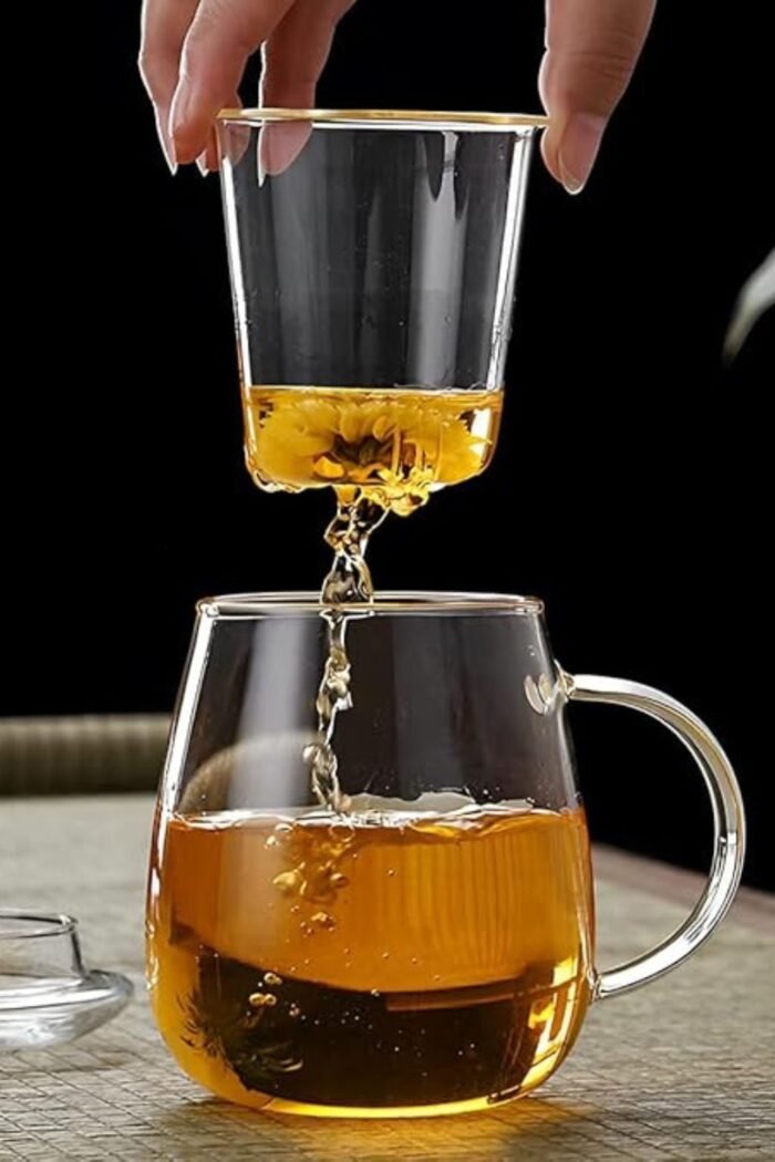 Taza Infusora de Té de Vidrio Borosilicato 450 ml con Filtro y Tapa - Imagen 2